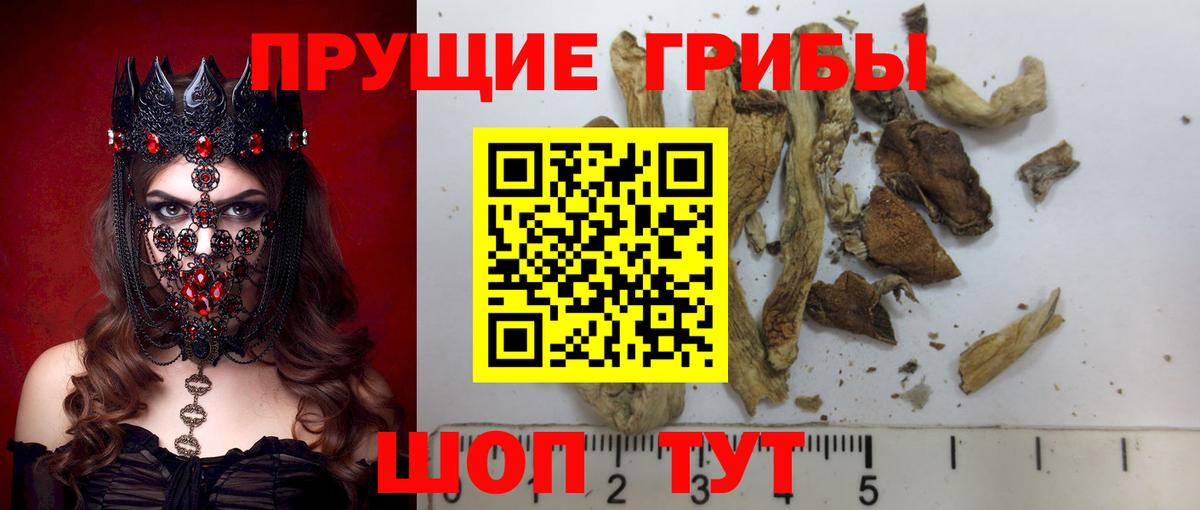 Псилоцибиновые грибы прущие грибы Первоуральск