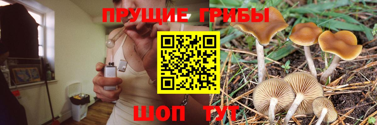 Галлюциногенные грибы мухоморы  Галлюциногенные грибы ЛСД  Вход с VPN  Первоуральск 